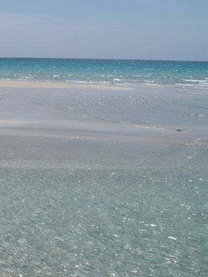 Lido Torre San Giovanni ( Ugento )