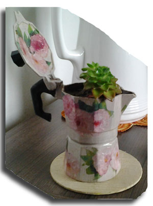 La moka di Rosina
